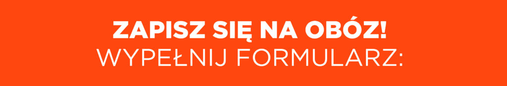 formularz