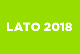 lato 2018 wts deski