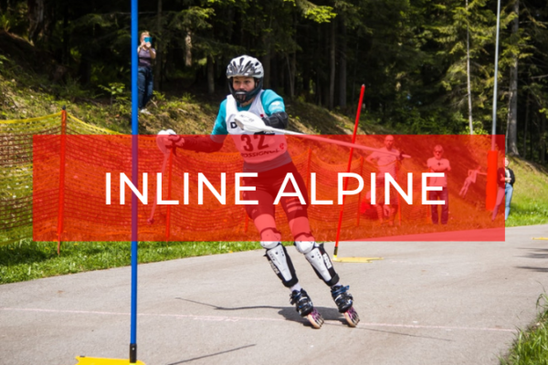 INLINE ALPINE